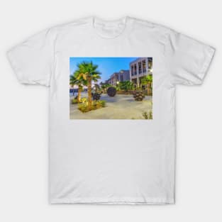 campus view T-Shirt